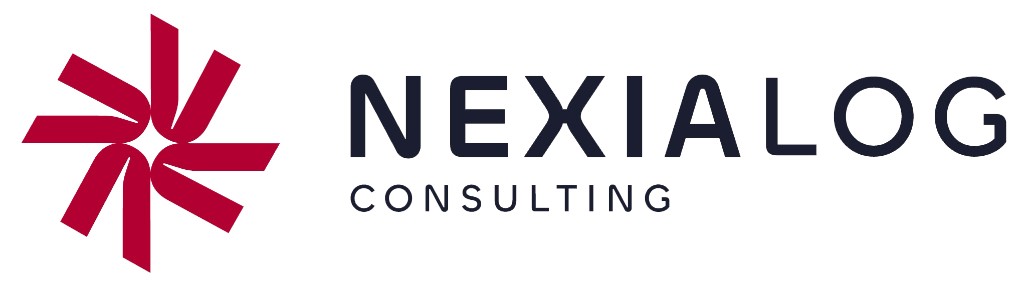 Logo Nexialog